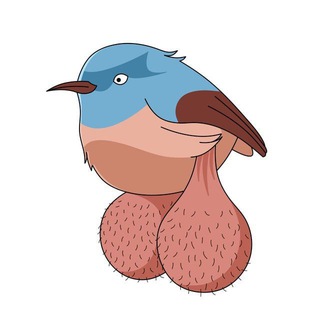 BIG BALLS BIRDS BOT Telegram Tools & Utilities bot
