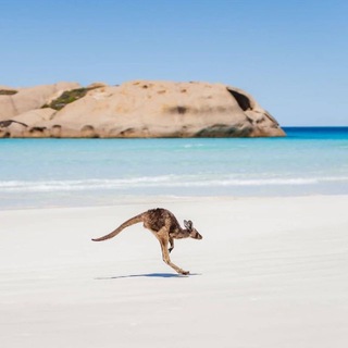 澳洲群 Telegram Social group