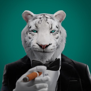 Panthers Telegram Tools & Utilities bot
