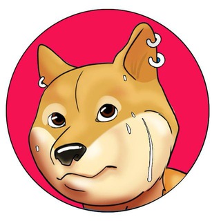 PhysicalDoge Airdrop Telegram Crypto bot