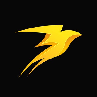 Storm Trade | News ⚡️ Telegram News & Media channel